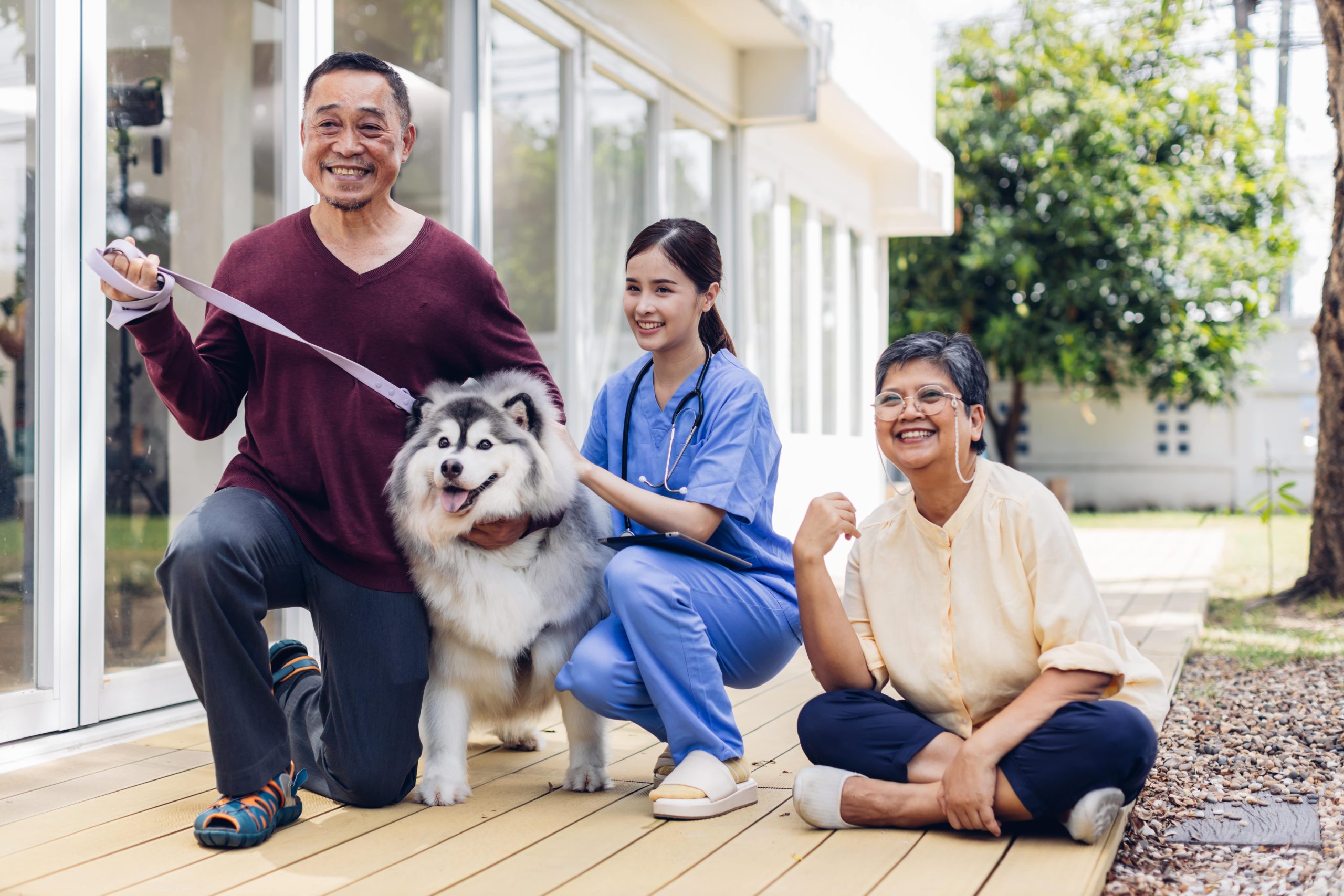 The Best Pet Insurance Plans for Dogs and Cats in 2025