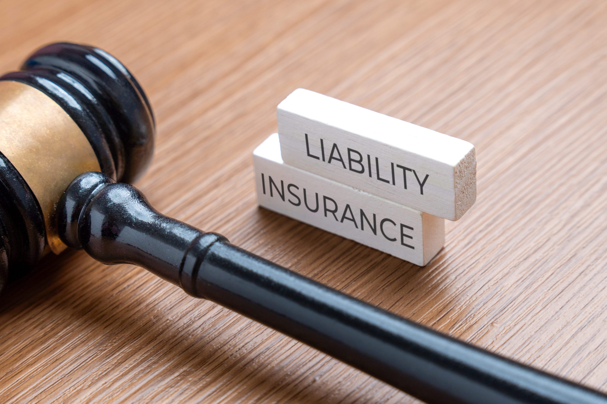 Bites, Bumps, and Balconies: Why Liability is the Most Important Part of Your Policy