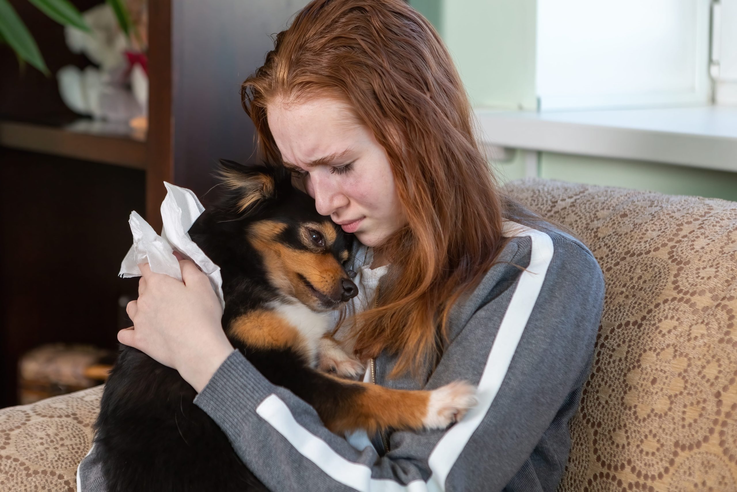 The “Wait Period” Explained: Why You Can’t Wait Until Your Pet is Sick