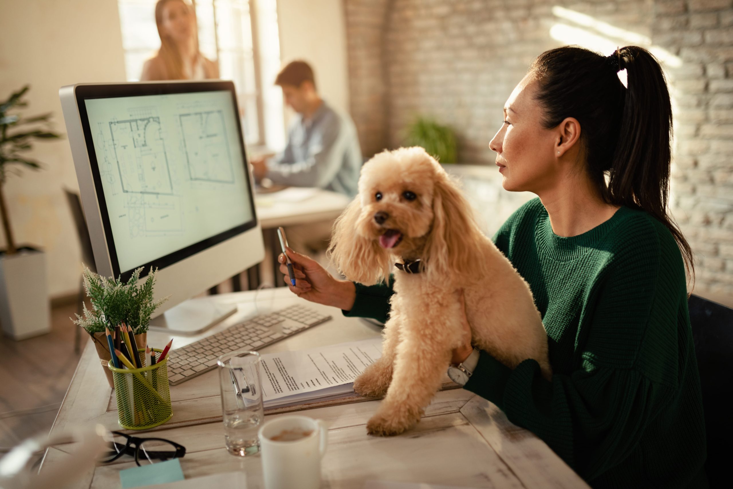 The Pet-Friendly Tenant: Navigating Dubai Real Estate with CoverB