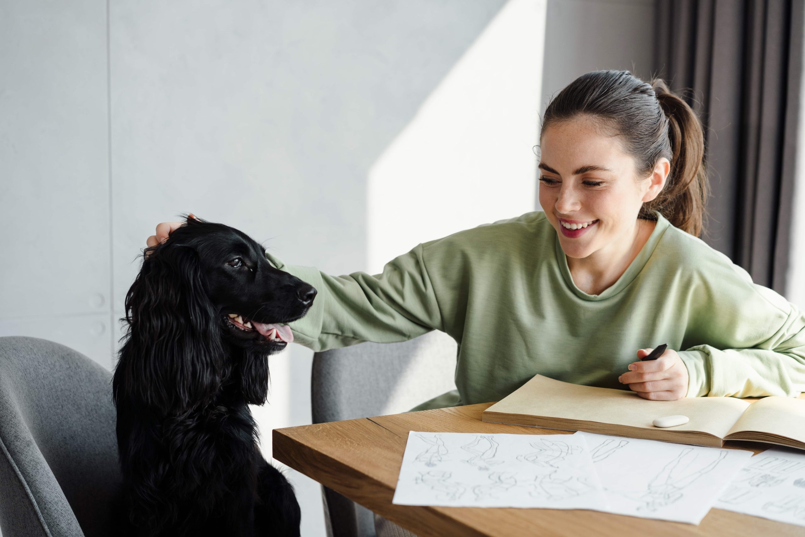 Understanding “The Excess”: Choosing a Plan That Fits Your Budget