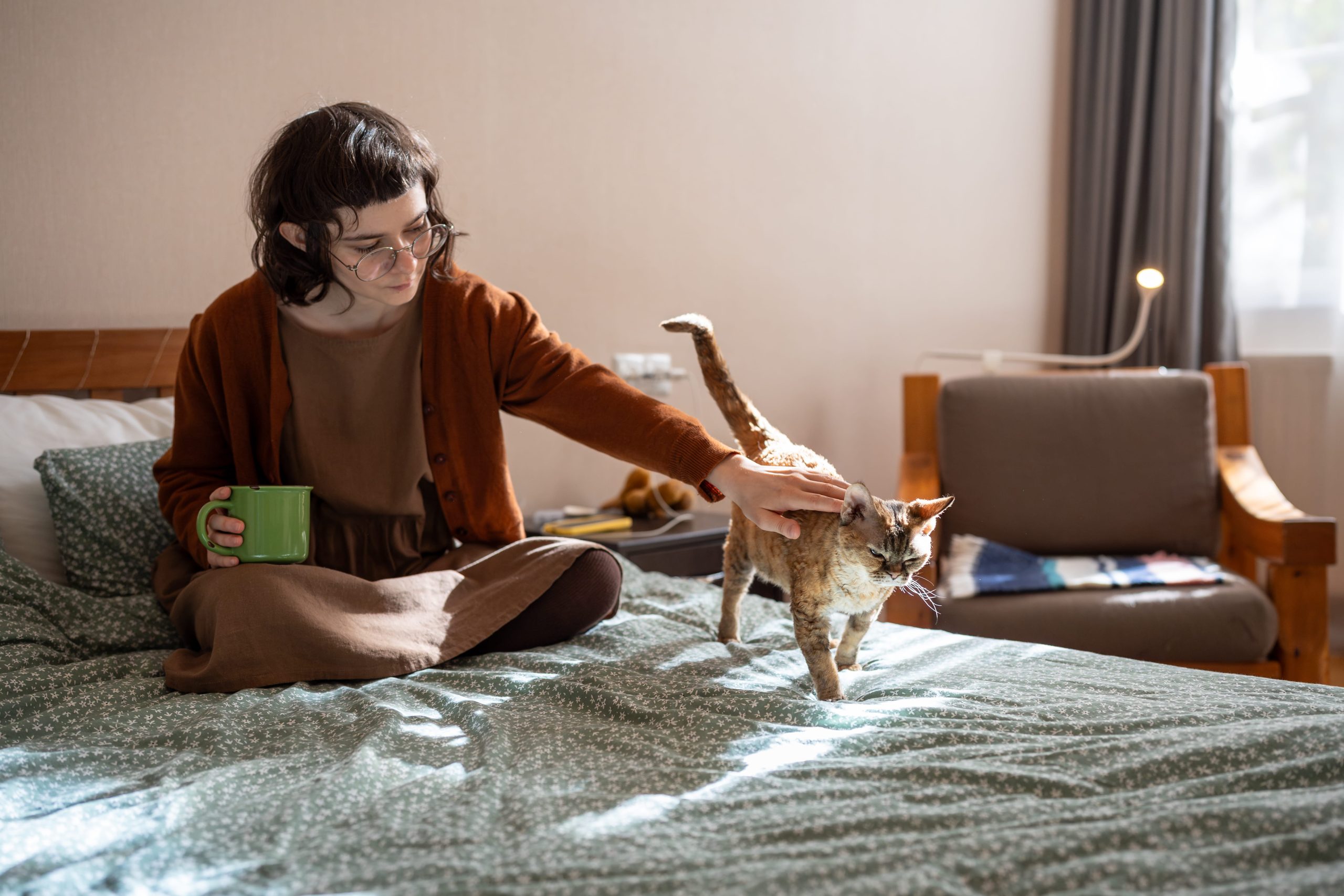 Indoor Cats vs. The World: Why Even “Homebodies” Need Insurance