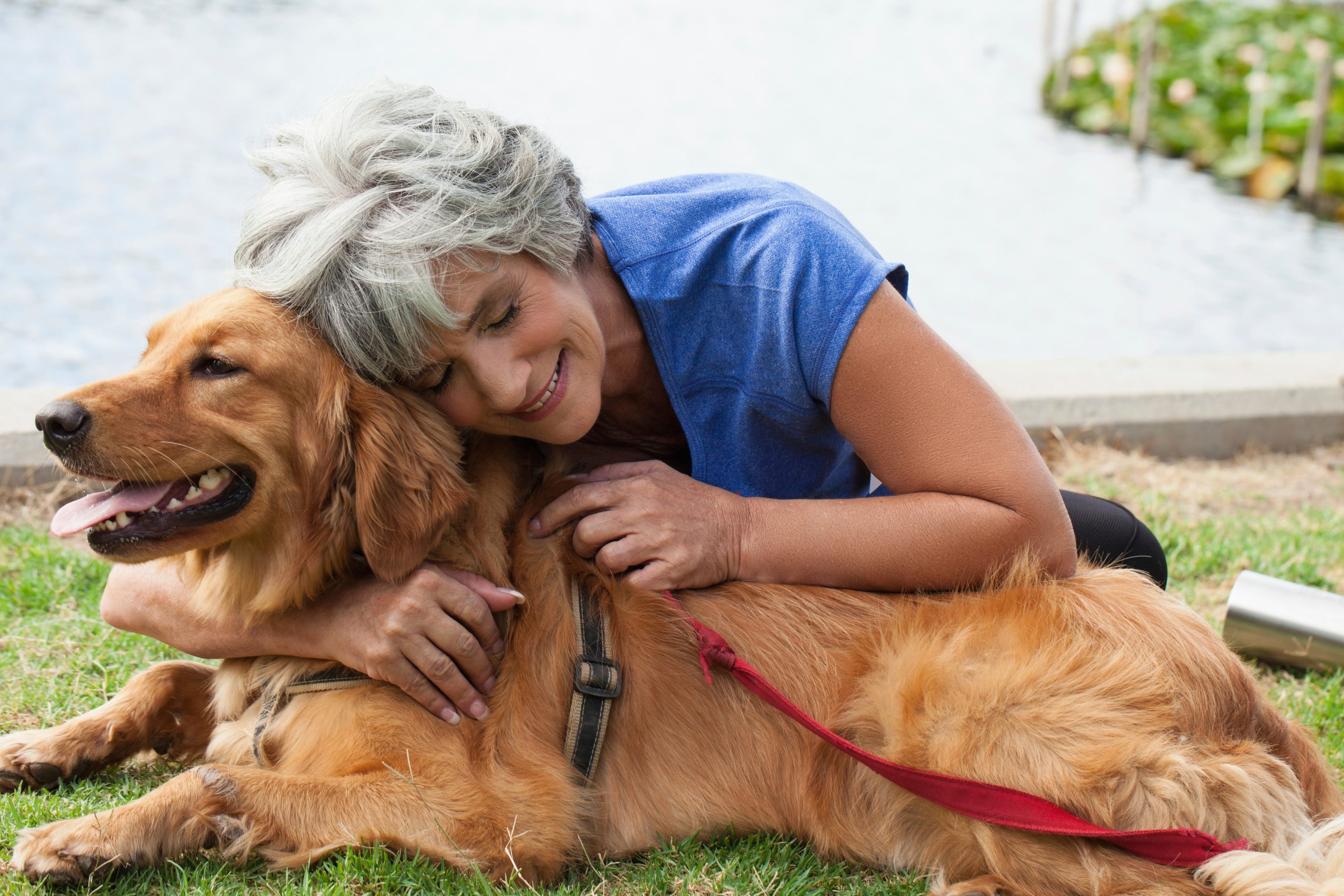 Pet Insurance for the “Golden Years”: Caring for Senior Pets