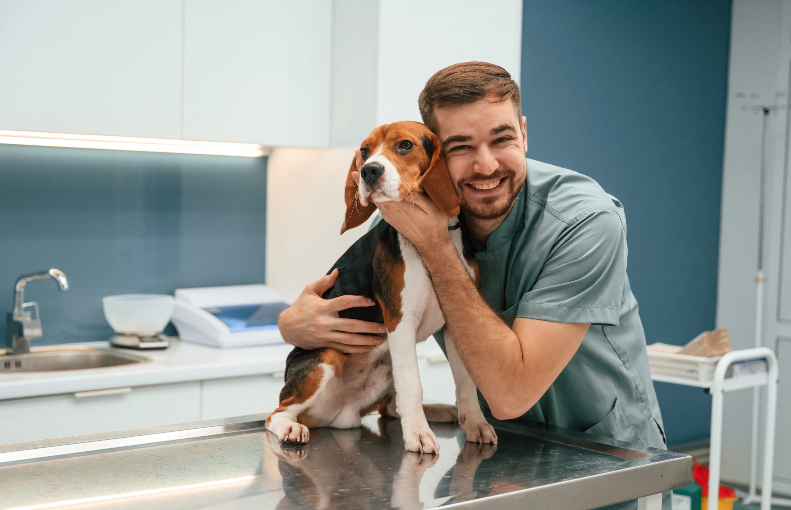 Is Pet Insurance Worth It? A 2026 Cost-Benefit Analysis