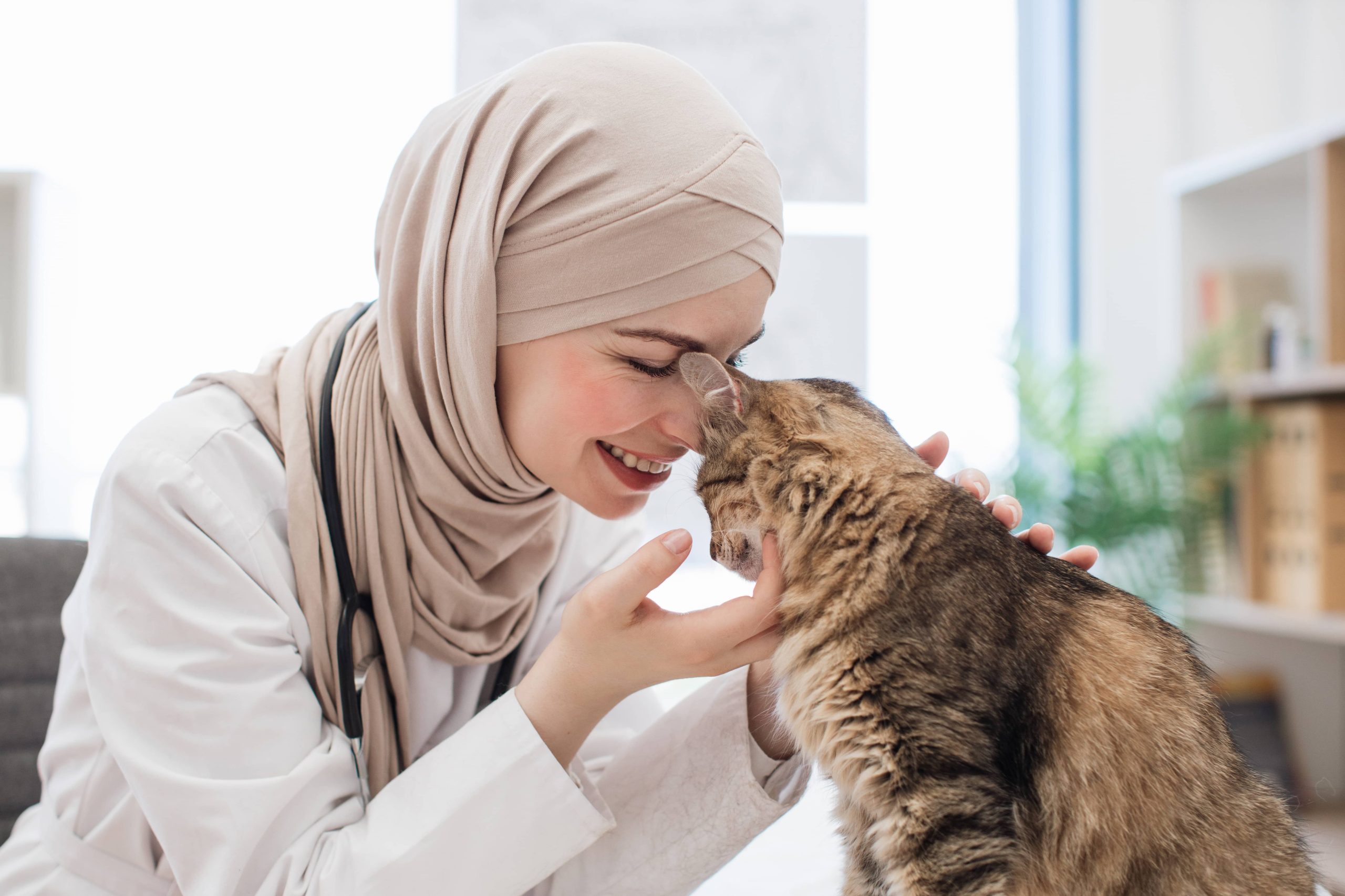 The 2026 Guide to Mandatory Pet Laws in the UAE