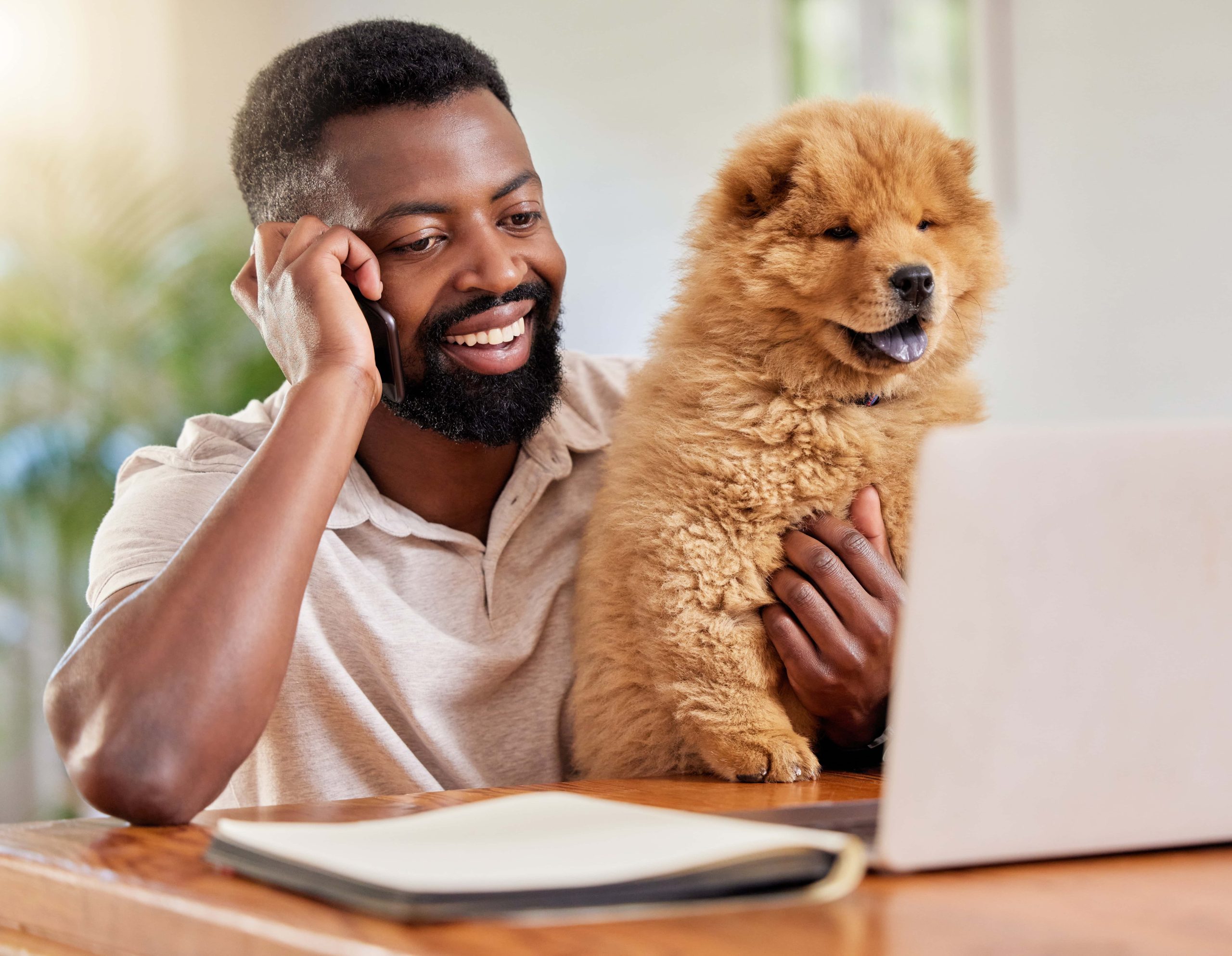 How to Apply for Pet Insurance in Under 5 Minutes with CoverB